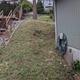 Illustration for article titled Maybe I should have been a landscaper instead of a male prostitute.